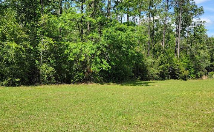 Pictures of Land property located at NHN Spring Oak Dr., Carriere, MS 39426 for sales - image #1