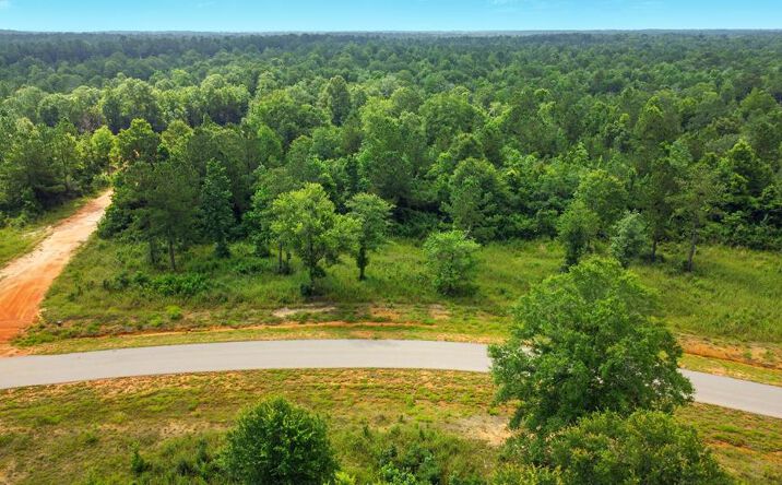 Pictures of Land property located at NHN Bent Creek, Picayune, MS 39466 for sales - image #1