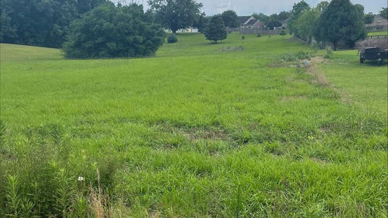 0 E Lookout Dr, Carriere, MS 39426