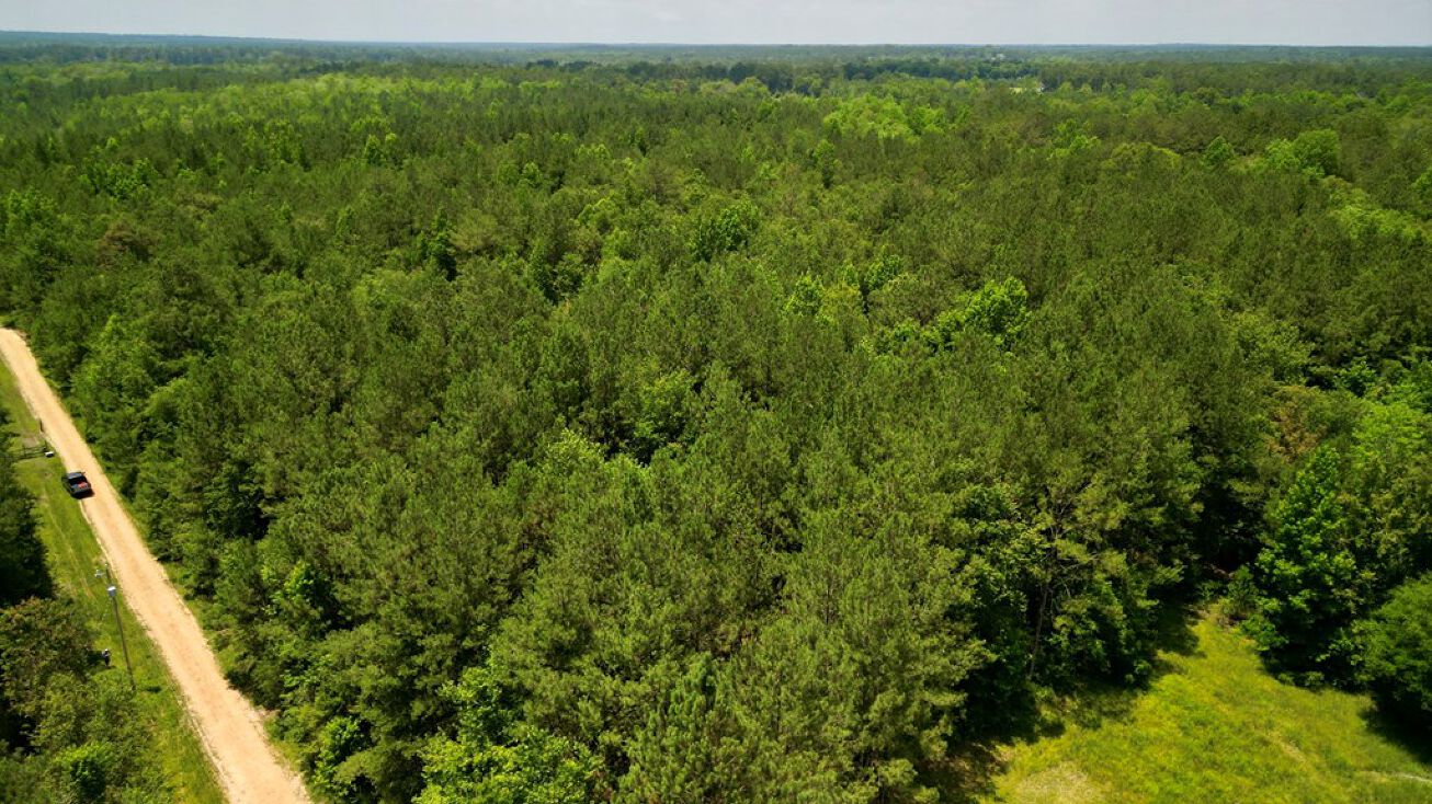 68 Rising Fawn Lane, Carriere, MS 39426