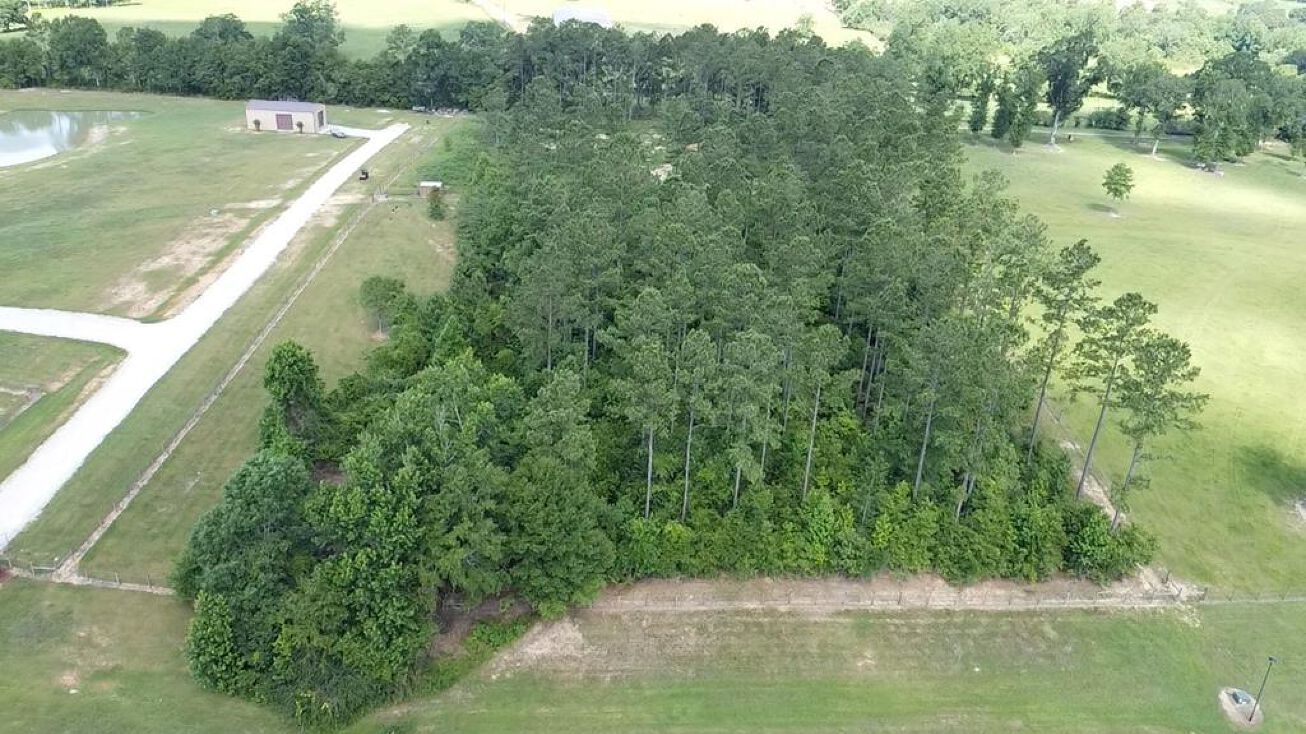 00 West Big Branch Dr., Carriere, MS 39426 Land for Sale 00 West