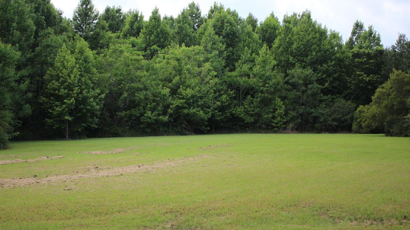 NHN Old Creek Rd, Picayune, MS 39466