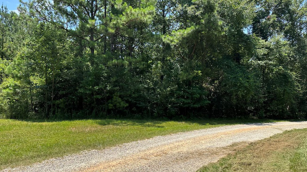 0 Flynn Rd, Poplarville, MS 39470