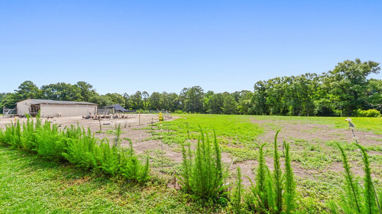 00 Virgil Lewis West, Carriere, MS 39426