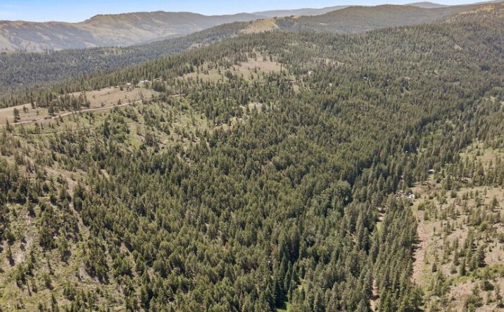 Pictures of Land property located at NHN Nasty Creek Rd, Yakima, WA 98923 for sales - image #1