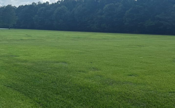 Pictures of Land property located at 9050 Airport Blvd, Mobile, AL 36608 for sales - image #1