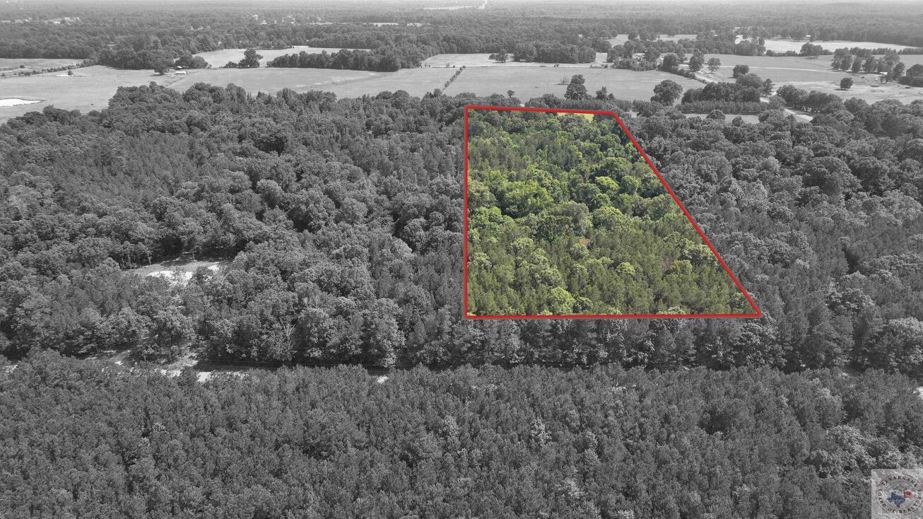 TBD 8.891 Acres CR 3108, New Boston, TX 75570 Land for Sale TBD 8.