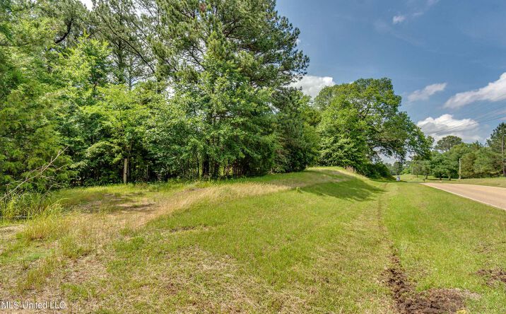Pictures of Land property located at N Livingston Rd, Madison, MS 39110 for sales - image #1