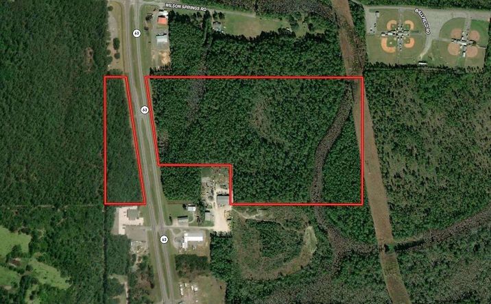 Pictures of Land property located at Highway 63, Moss Point, MS 39562 for sales - image #1