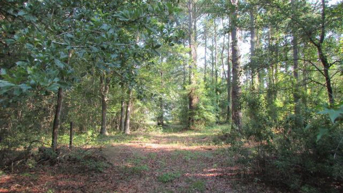 000 Swamp Edge Drive, Valdosta, GA 31601 Land for Sale 000 Swamp Edge Drive