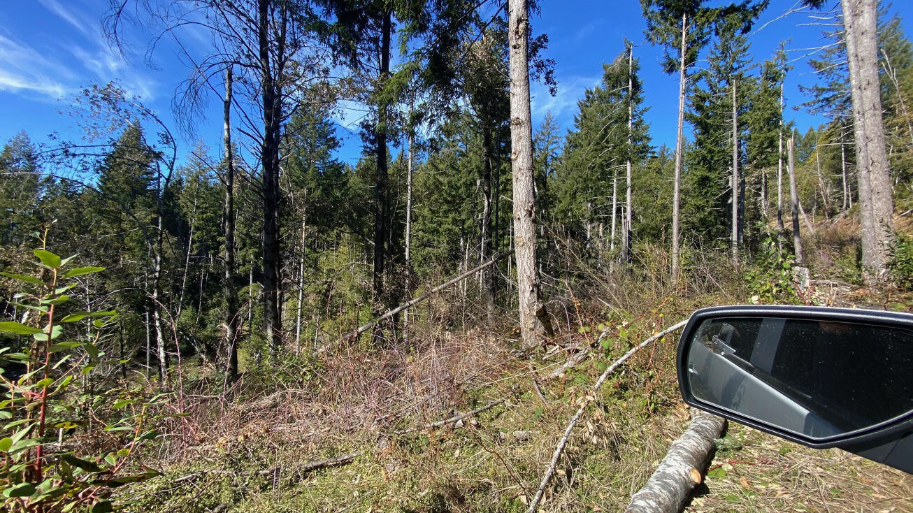 0 Cappell Rd, Weitchpec, CA 95546 Land for Sale 0 Cappell Road