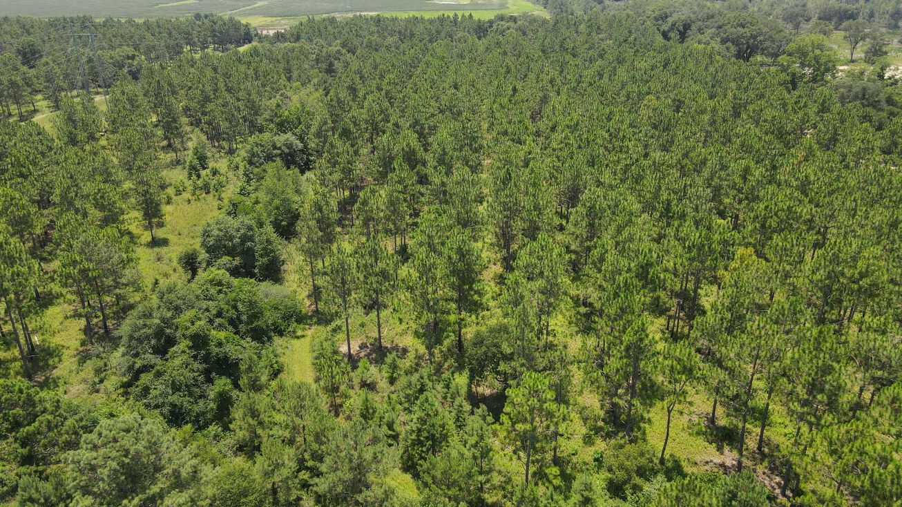 Dixie Rd, Leesburg, US 31763