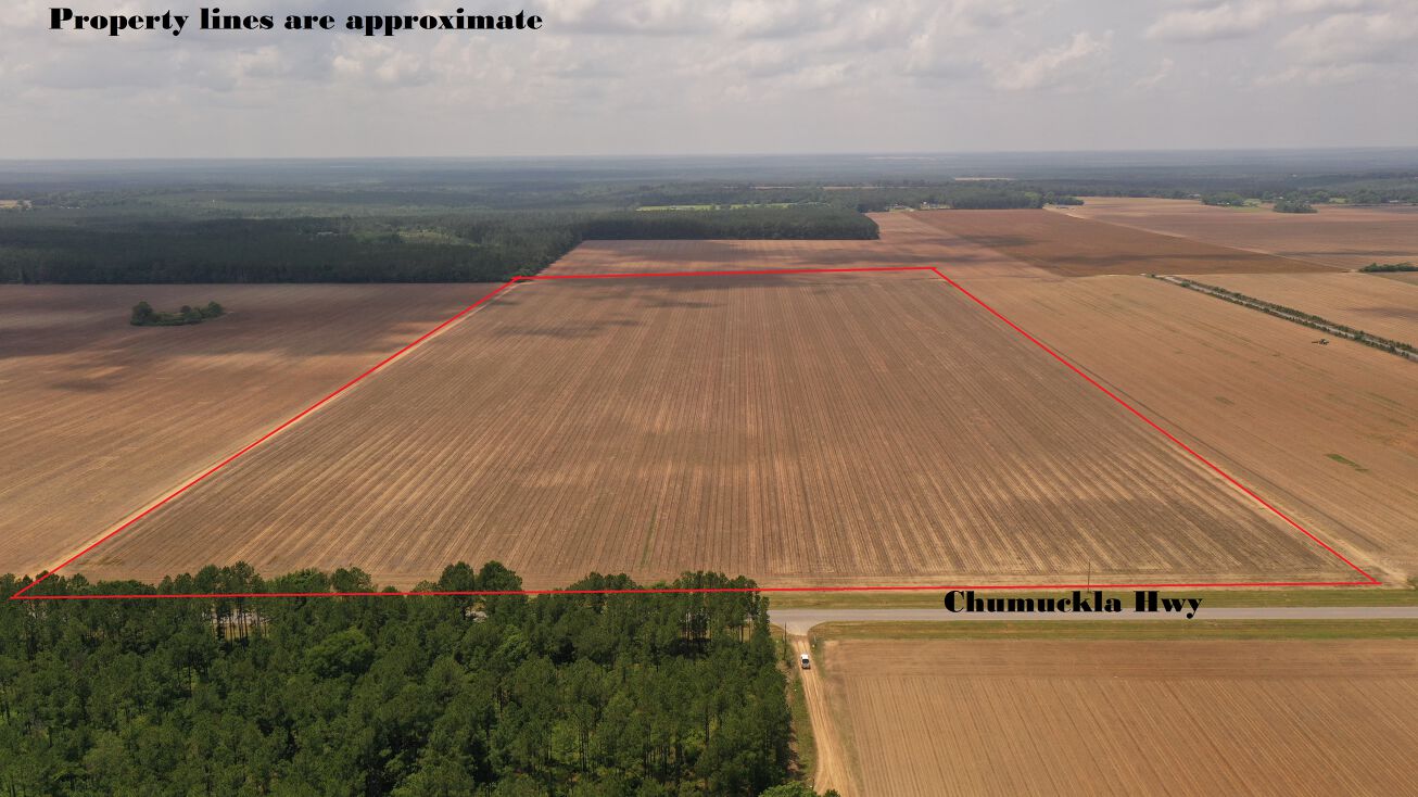 0 Chumuckla Hwy, Jay, FL 32565 Land for Sale NEW PRICE! 80 Acres