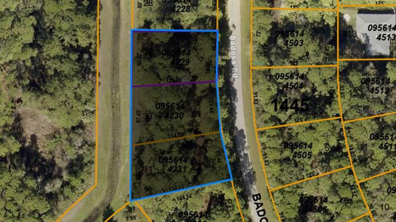 Lots 29, 30 & 31 Badosa Road, North Port, FL 34286