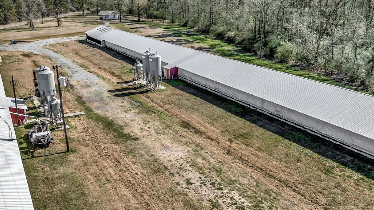 FM139, Shelbyville, TX 75973