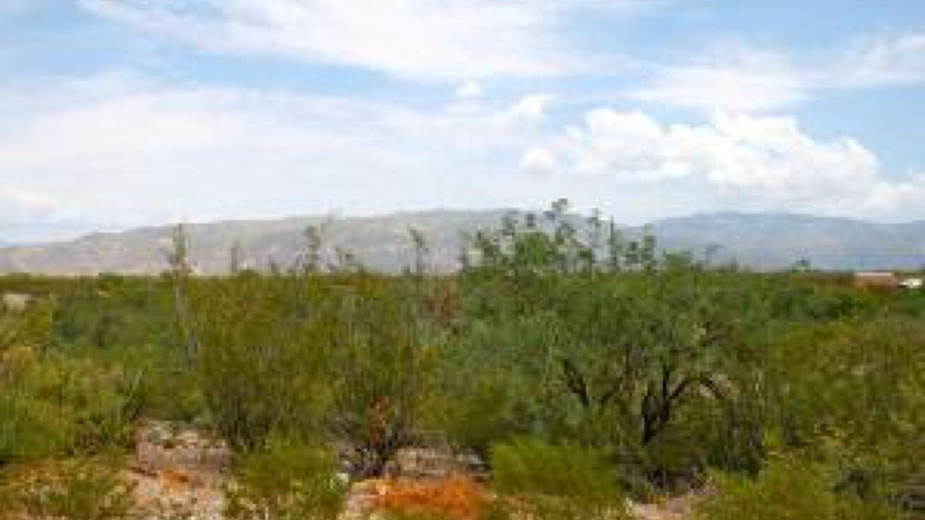 8957 S Lanai Ln, Vail, AZ 85641 Land for Sale 8957 S Lanai Lane, 13