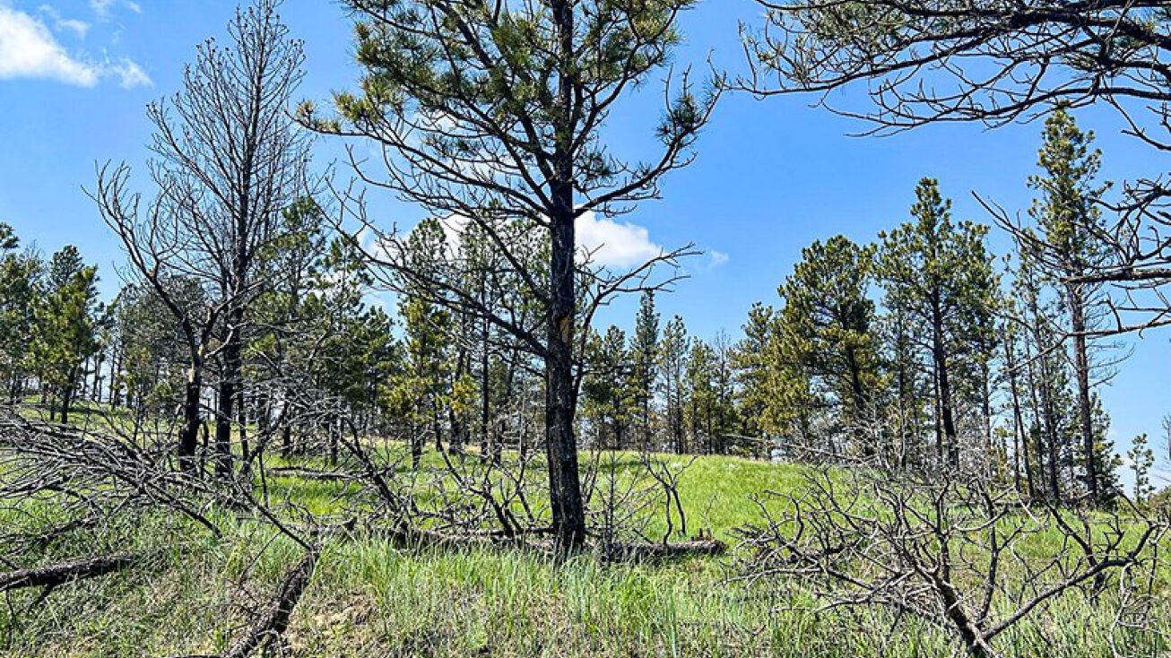 Tract 112, S06, T15N, R31E, Mosby, MT 59058