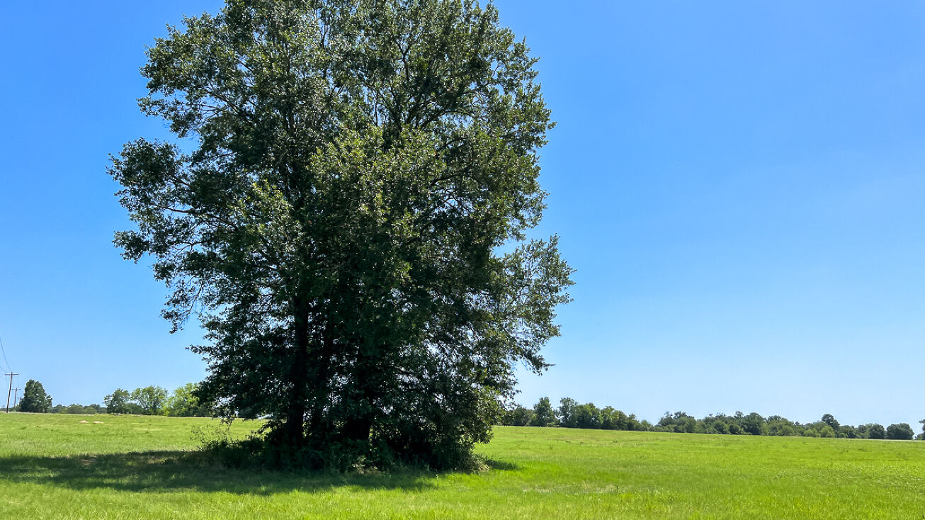 17 County Road 3630, Lovelady, TX 75851