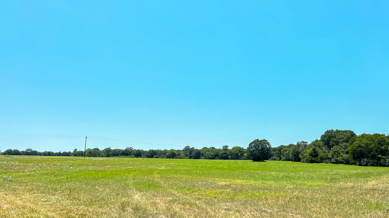 18 County Road 3630, Lovelady, TX 75851