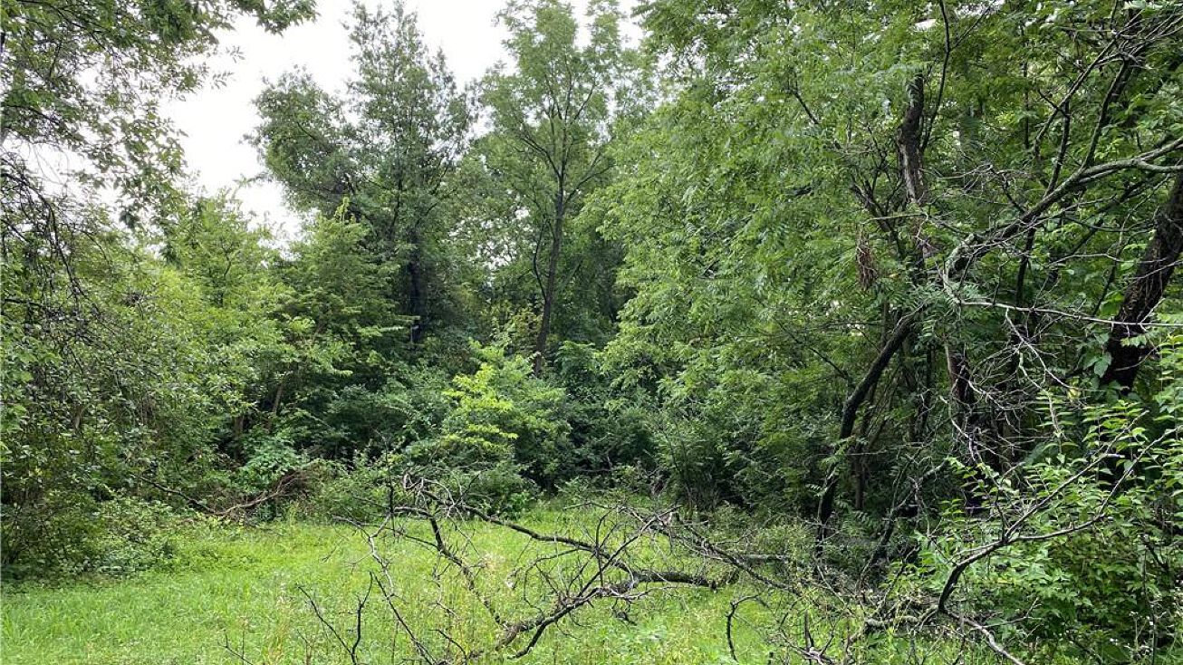 1209 N Lyne Avenue, Raymore, MO 64083