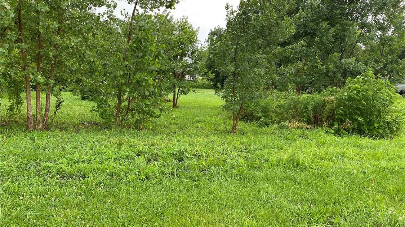 Park Avenue, Garden City, MO 64747