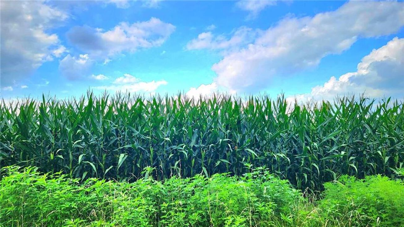 11543 Vernon Road, Pleasanton, KS 66075