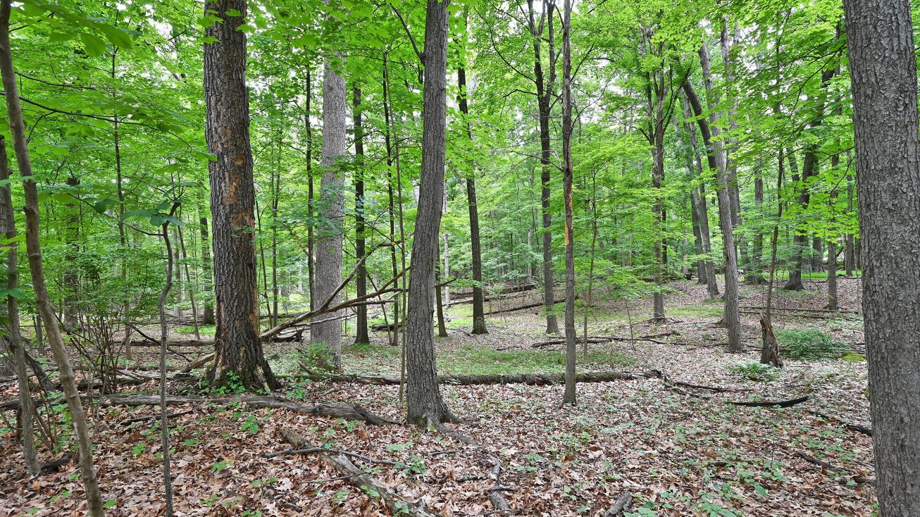 3 Point Garden Rd, East Stroudsburg, PA 18301