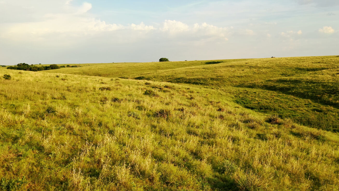 E Kiowa Rd, Phillipsburg, KS 67661