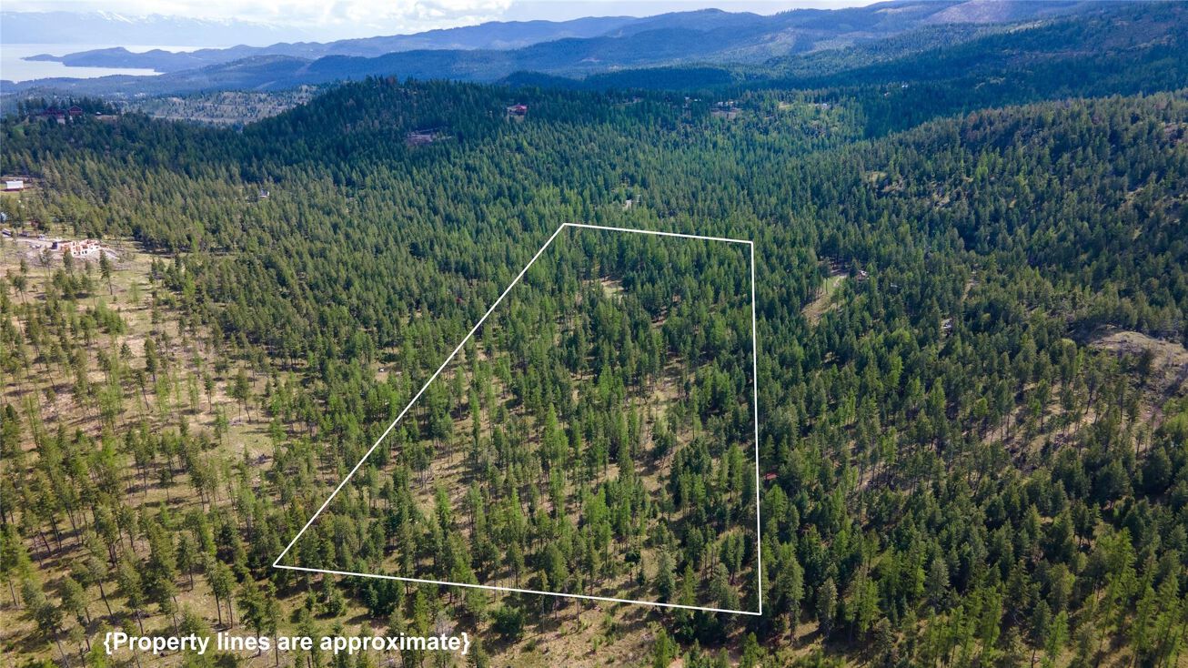 445 Buffalo Trail, Somers, MT 59932