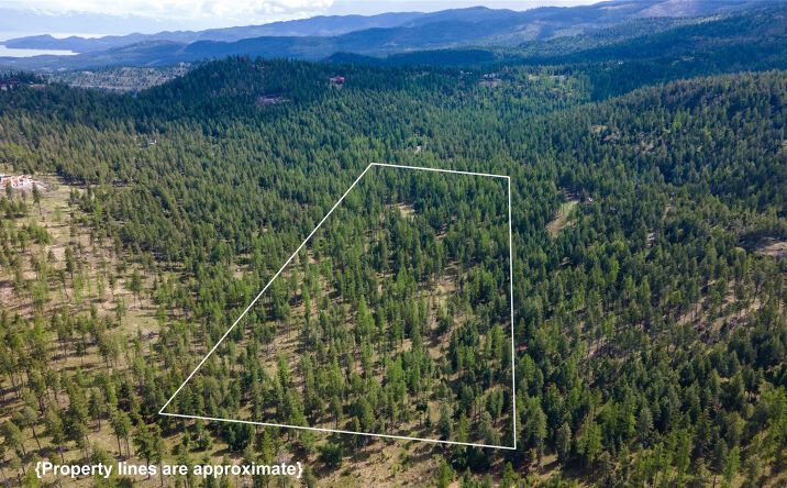 Pictures of Land property located at 445 Buffalo Trail, Somers, MT 59932 for sales - image #1