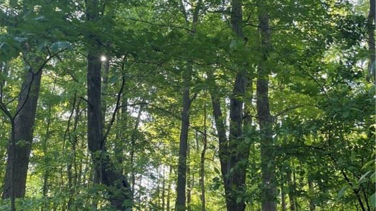 Hemlock Road Chagrin Falls, Chagrin Falls, OH 44022