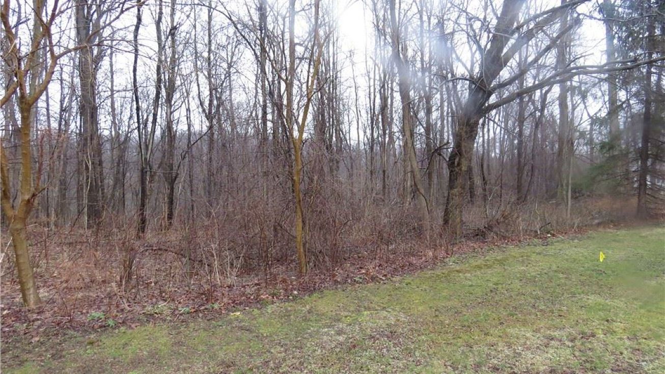 2824 Sylvan Rd, Geneva, OH 44041