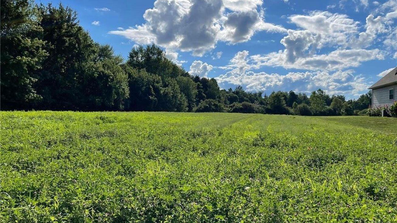 Antioch Road, Perry, OH 44081