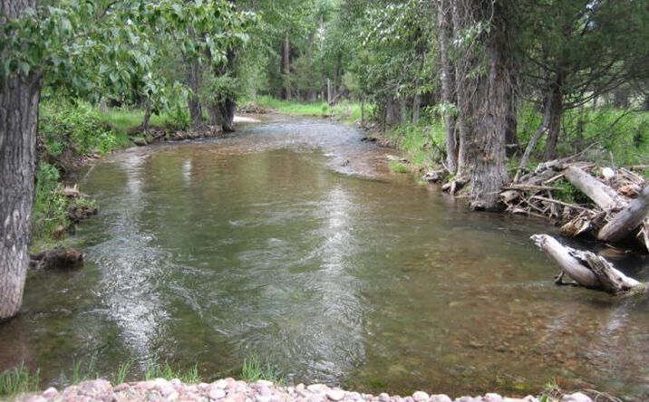 Pictures of Land property located at 2980 MT-83, Seeley Lake, MT 59868 for sales - image #1