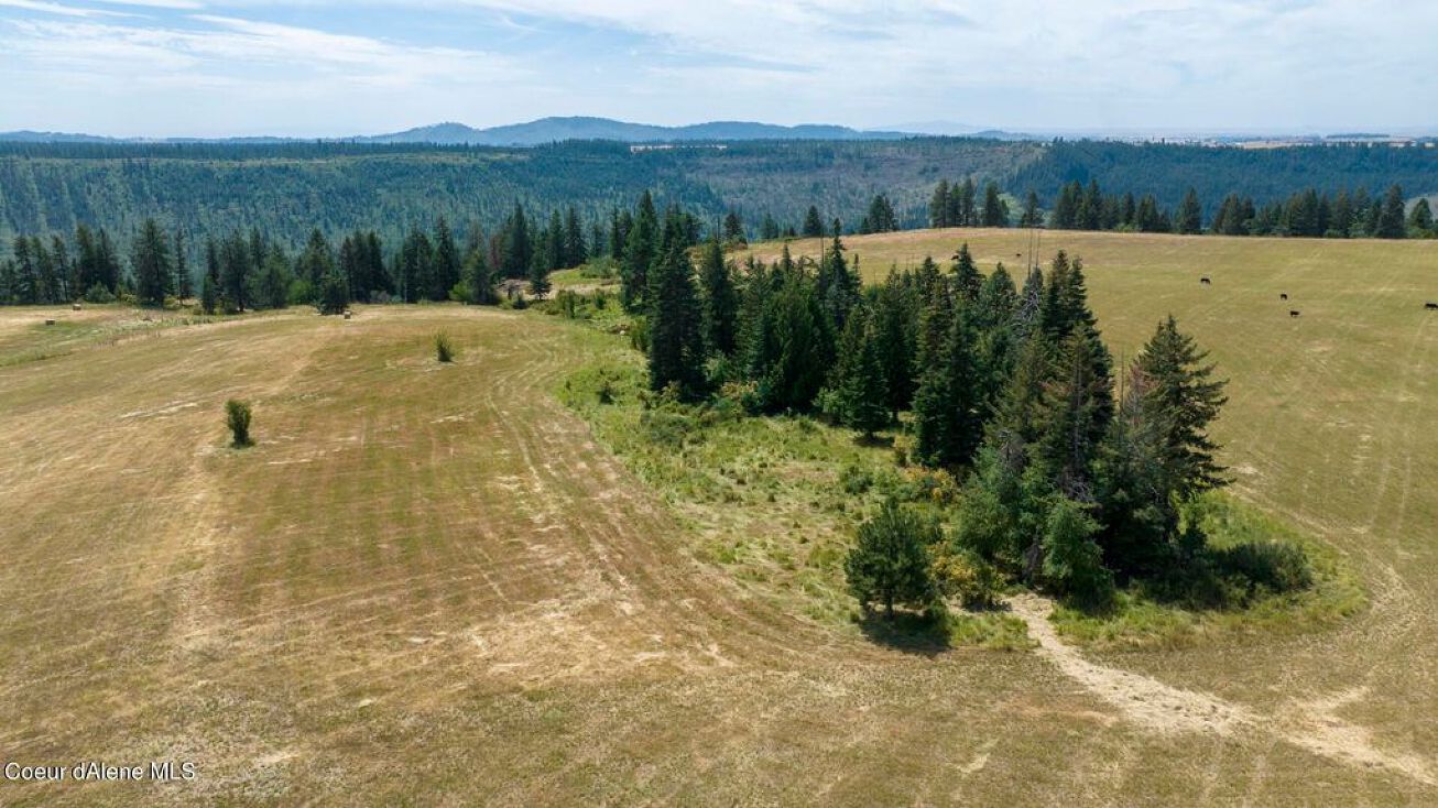 1605 Jasmine Ln, Parcel 15, Weippe, ID 83553