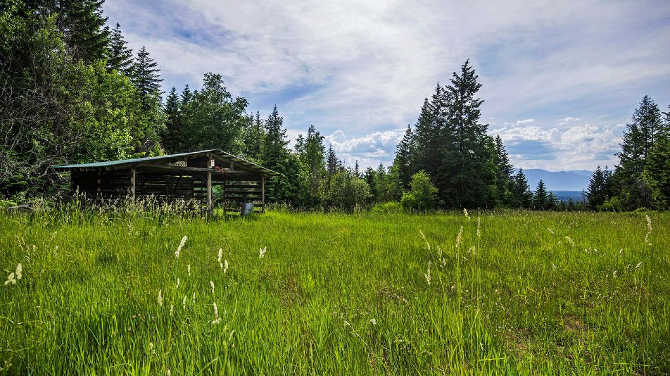 133 139 Two Tail Rd, Bonners Ferry, ID 83805 Land for Sale 133 139