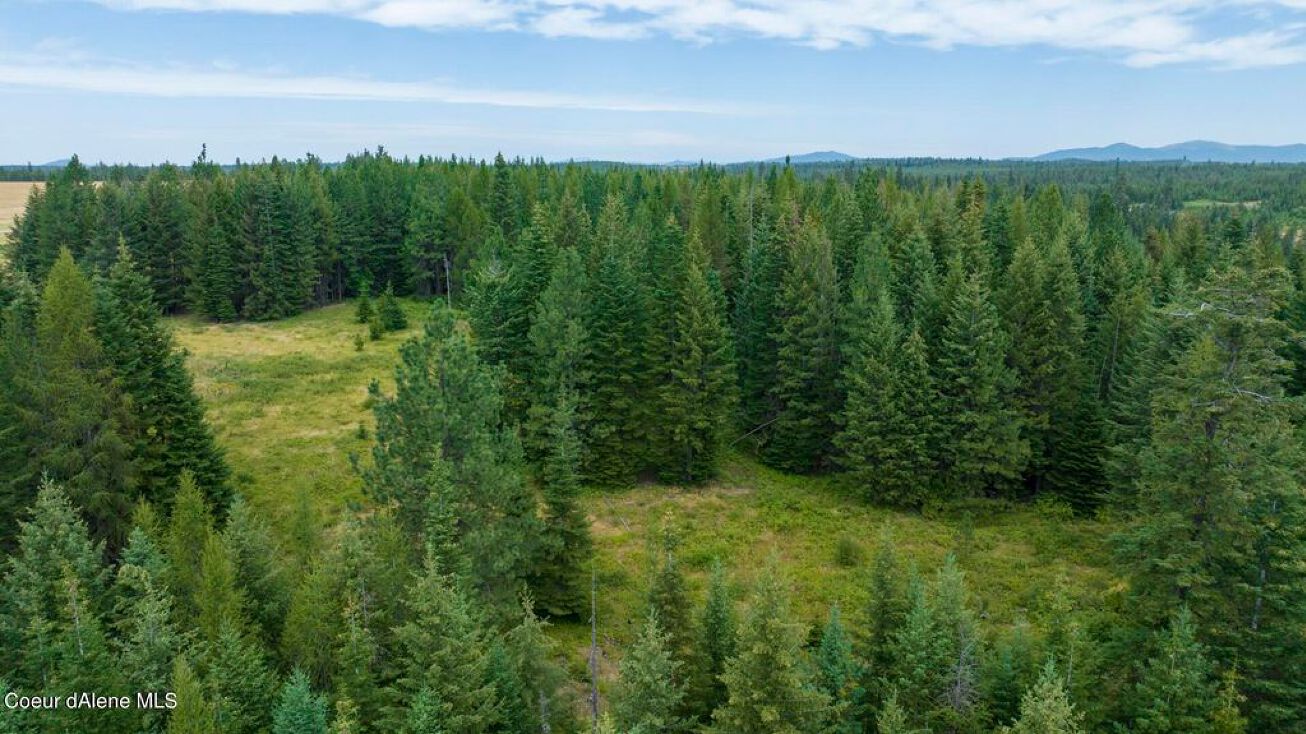 1605 Jasmine Ln, Weippe, ID 83553 Land for Sale 1605 Jasmine Ln