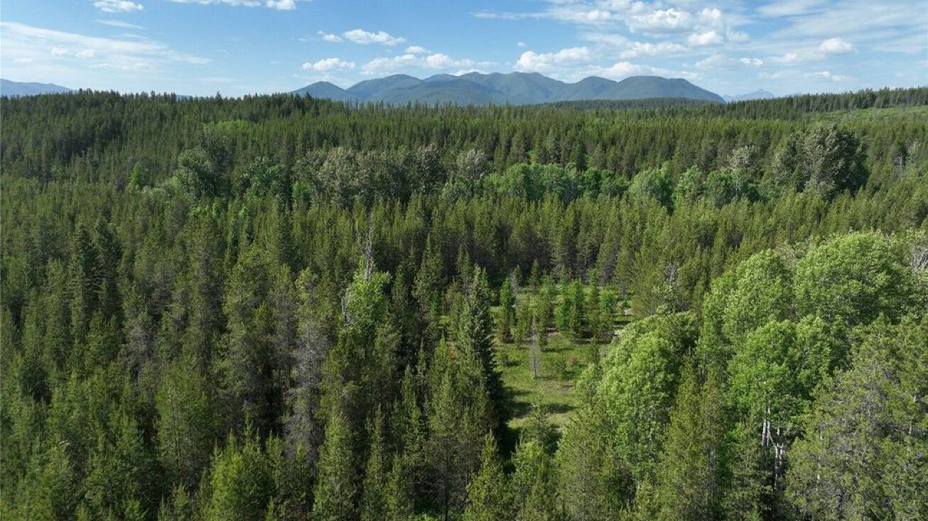 298 Kuzmic Ln, Coram, MT 59913