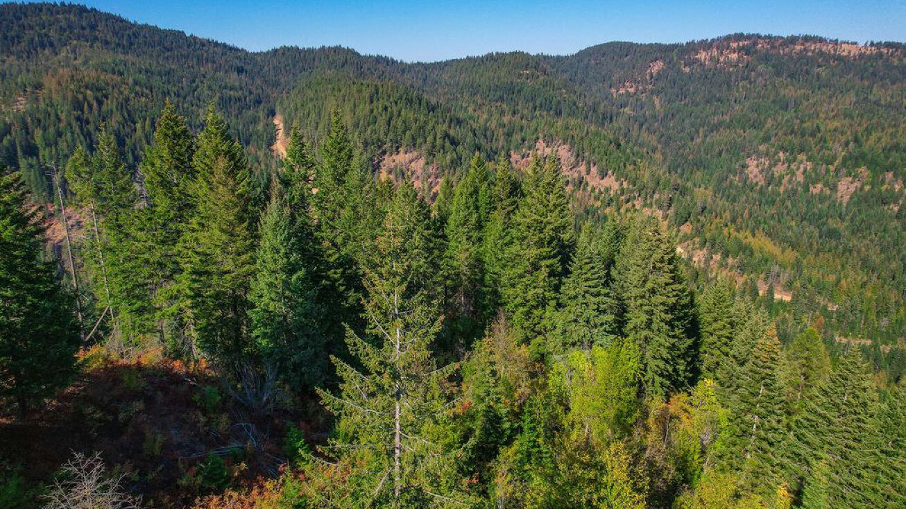 Bodie Canyon Rd, Priest River, ID 83856
