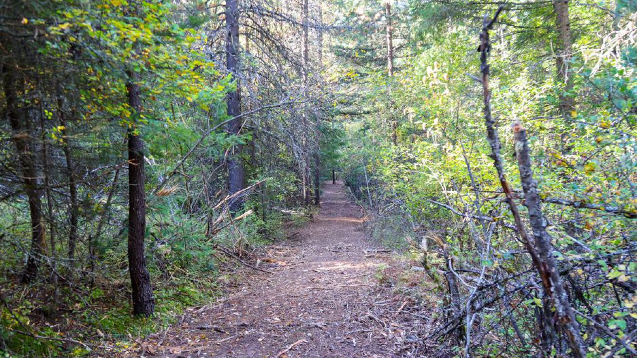 French Gulch Rd, Kingston, ID 83839