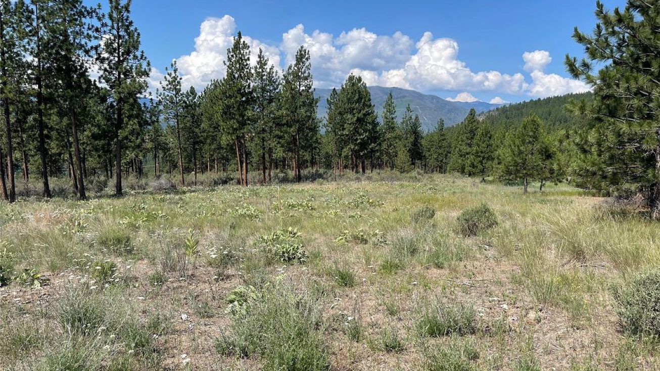 NHN Sagebrush Lane, Plains, MT 59859