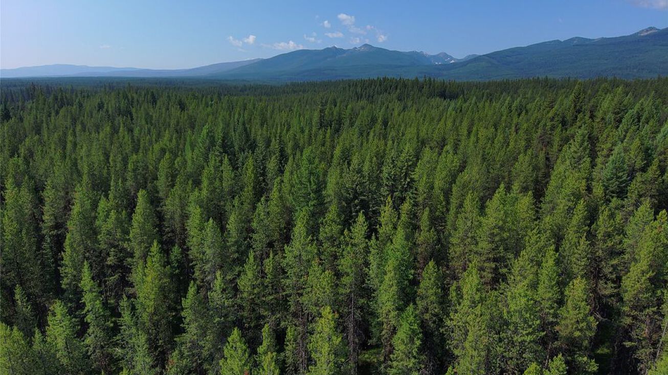 Tbd Providence Lane, Condon, MT 59826