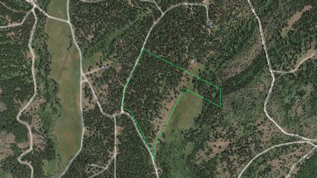 Elk Run Road & Homestead Road, McCall, ID 83607