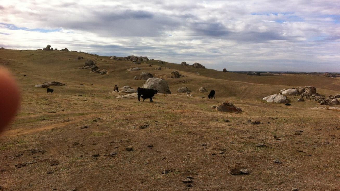 0 Ave. 80, Terra Bella, CA 93270