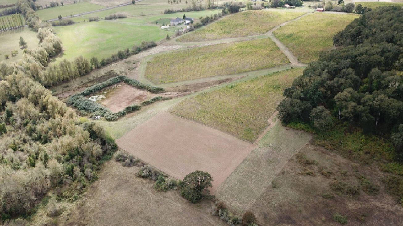 Mount Pisgah, Fort Meade, OR 33841