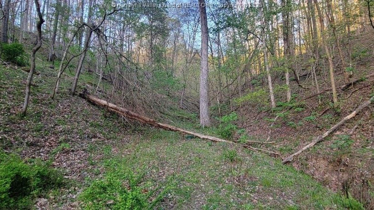 1739 Glenwood Rd, Milton, WV 25541