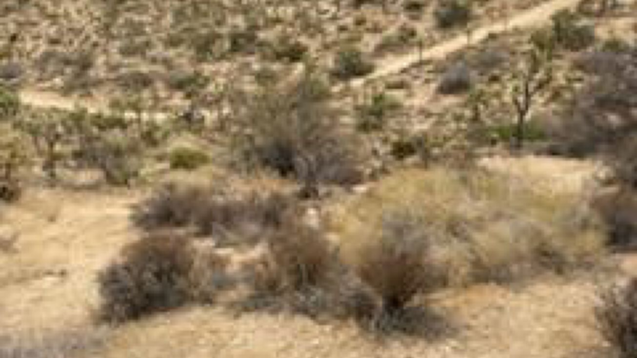 1 Hoopa, Yucca Valley, CA 92284