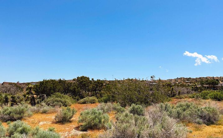 4.69 Acres Pinion Hills, Pinon Hills, CA 92372
