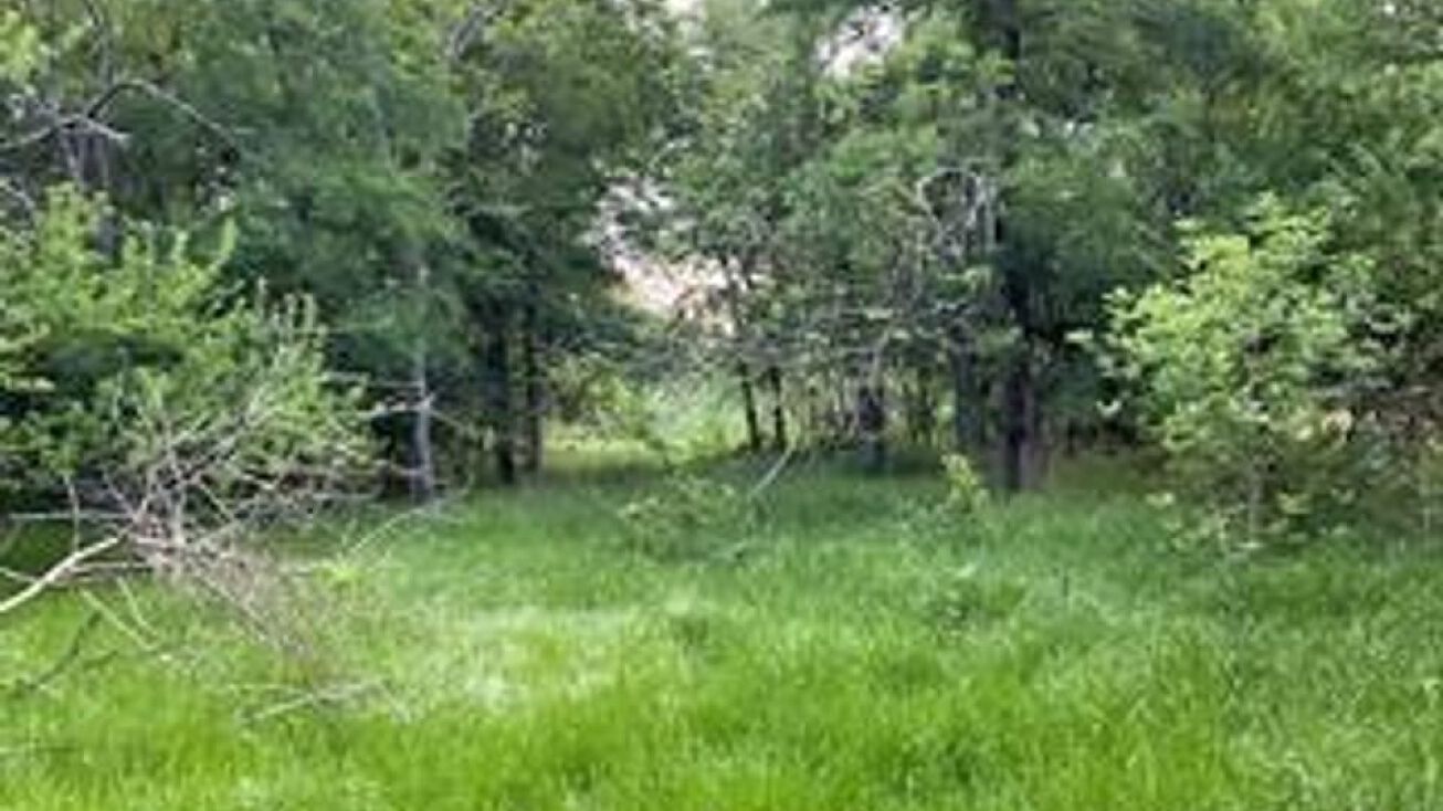 Lone Oak, Lone Oak, TX 75453