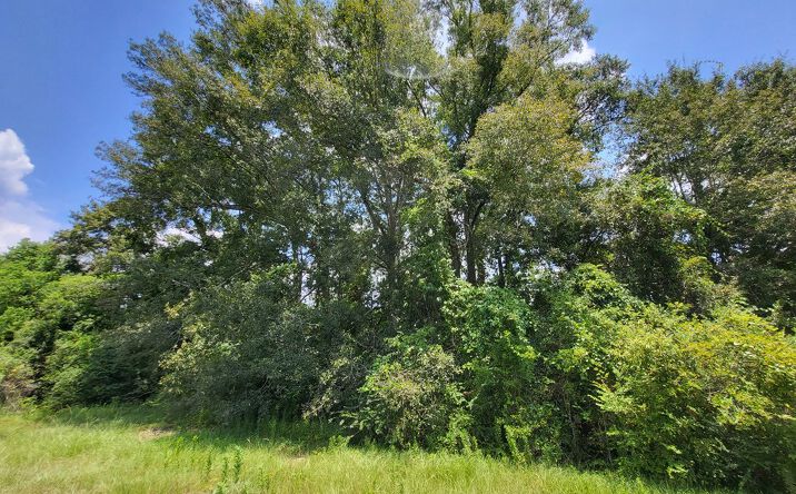Pictures of Land property located at 00 Jackson Landing Rd, Picayune, MS 39466 for sales - image #1